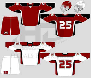 Uniforme de hockey sur glace personnalisé professionnel 2024 uniforme de hockey sur glace léger à manches longues - Product Image 3