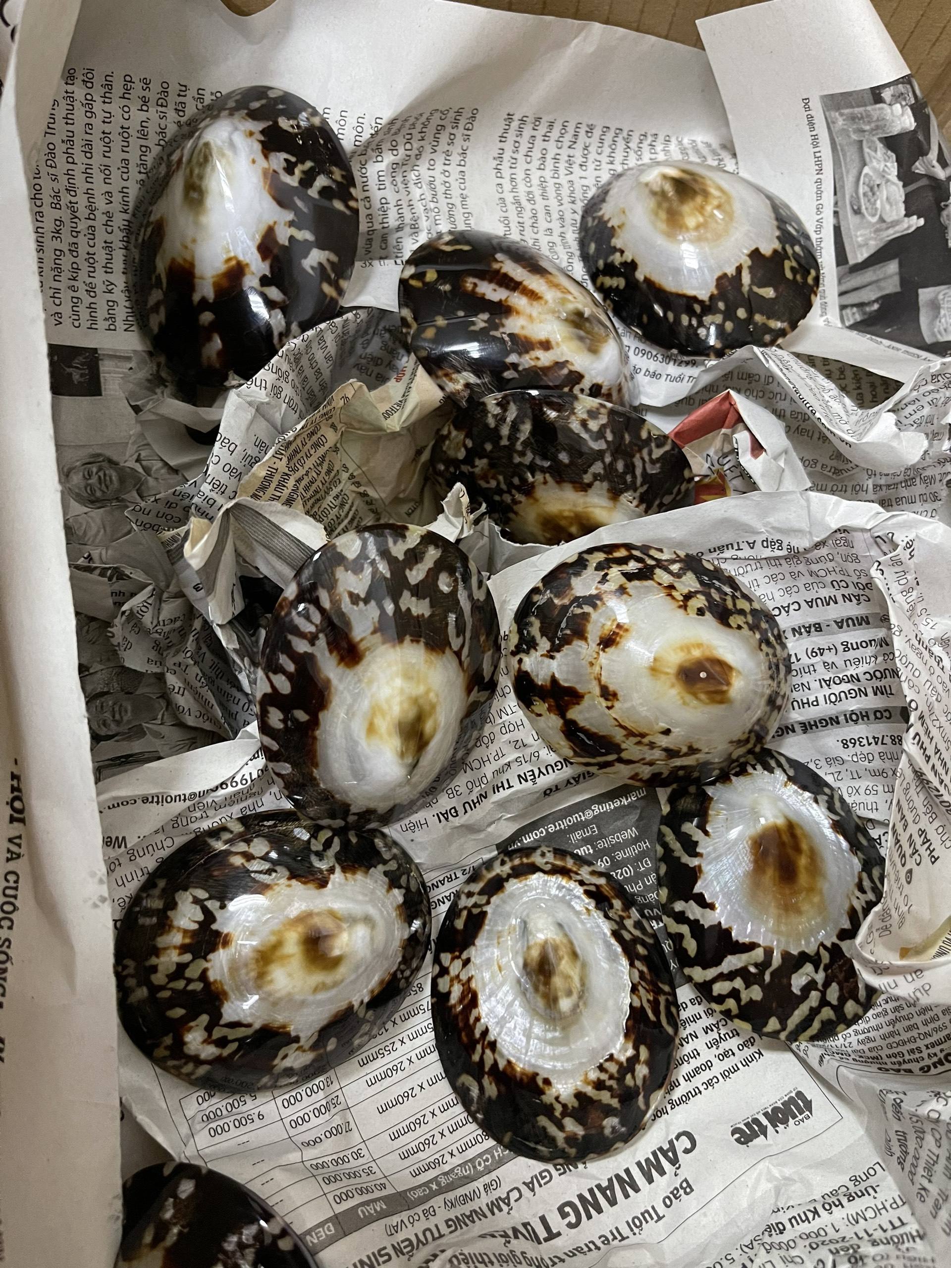 กองทัพสีเขียว