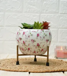 เหล็กมีน้ำหนักเบาของตกแต่งบ้านสวนคอลเลกชันที่ไม่ซ้ำกันของกระถางดอกไม้และที่ปลูกต้นไม้โดย Regal Metal World - Product Image 3