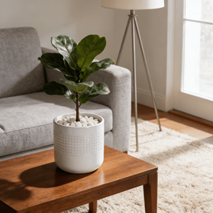 Juego de 3 macetas redondas de cerámica blanca moderna Mdj para interior y exterior, para decoración del hogar, estilo americano. - Product Image 3