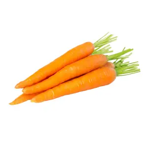 Глобальные рынки-экспорт свежей моркови