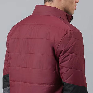 Vestes d'hiver matelassées personnalisées pour hommes, col montant, imperméables, à capuche, avec logo imprimé sur le devant, 100 % polyester, vente en gros - Product Image 5