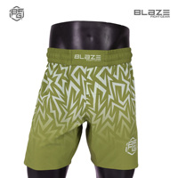 Shorts de grappling MMA personnalisés avec logo imprimé, tissu de qualité, taille élastique mi-haute, séchage rapide, respirant, vêtements d'entraînement sportif pour hommes