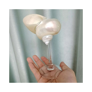 Vasos de concha personalizada para cócteles y champán - Product Image 1