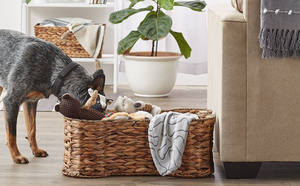 Meilleure vente Jacinthe Collection de rangement pour animaux de compagnie Panier de rangement en forme d'os naturel Jacinthe d'eau PC du Vietnam pour la cuisine domestique - Product Image 2