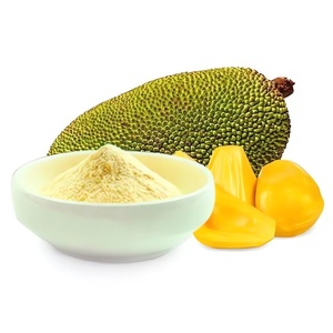 Polvo de Jaca seca al por mayor Polvo puro de Jaca natural produce y exporta desde Vietnam - Product Image 3