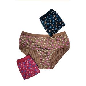 Venta Directa de Fábrica Paquete de 3 Pantis de Encaje Estampado de Corte Alto para Mujer Estilo Cotidiano Tejido de Punto para Chicas - Product Image 5