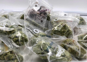 Ogeez Chocolate - Chispas de chocolate crujientes (Krispy Caramel) Hemp Flower - Product Image 3