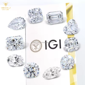 Diamante Cultivado en Laboratorio con Corte Princesa, 1 Quilate, Color F, VVS, Certificado IGI, para Joyería, SHREERAJ SOLITAIRE DRDS-0235 - Product Image 5