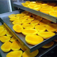 Abrikozen Fruit Knoflookpeper Mango Deshidratador Droger Haw Gember Hete Lucht Droge Machine Voor Chili