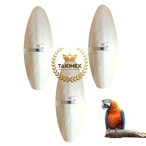 SEPIA SQUID OS DE SEICHE avec support pour Cage à oiseaux Os de seiche Oiseaux Sac de nourriture Emballage de style corporel Étagère de poids Origine Vietnam - Product Image 1