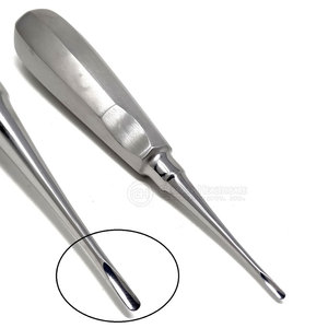 Stainless Steel Dental Instrument Dental <b>Elevators</b> Top Quality Dental <b>Elevators</b> Hot Selling Dental <b>Elevators</b> - Product Image 5
