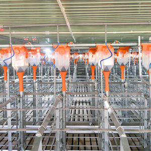 Cerda embarazada Diseño de 2 puertas Incluye tolva de alimentación y cartón Galvanizado en caliente Fabricante vietnamita Mejor precio - Product Image 6
