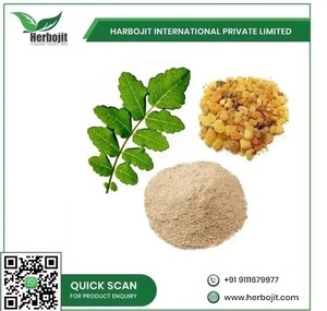 ผงสกัด Boswellia serrata สารละลายอายุรเวทสำหรับบรรเทาอาการตึงบวมและปรับปรุงการเคลื่อนไหว - Product Image 4