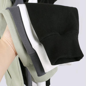 Sweat à capuche personnalisé printemps et automne 480gsm poids lourd 100% coton pull unisexe ourlet côtelé sweats à capuche - Product Image 4