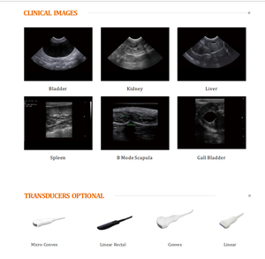 Alat USG Portabel Hewan CE Klinik Hewan MR-N2 Pemindai Hewan Peliharaan - Product Image 4