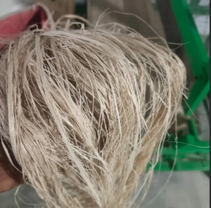 Fibre de banane durable pour la décoration intérieure et les articles artisanaux - Product Image 4