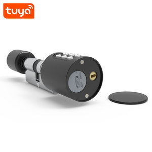 Hot bán mật khẩu, thẻ IC, chìa khóa, ứng dụng mở khóa tuya thông minh BT xi lanh Cửa Khóa pst-mate-p - Product Image 4