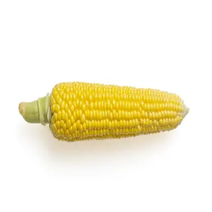 Maïs jaune/blanc en vrac meilleur prix de vente pour la consommation humaine au prix de gros