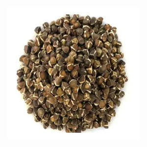 Semillas de Moringa para extracción de moringa Proporciona nutrición y energía Excelente valor medicinal - Product Image 2