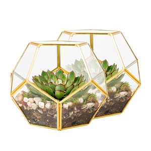Accessoires de décoration de café ou de café de qualité supérieure Vente chaude Terrarium en verre de forme irrégulière Terrarium en verre transparent - Product Image 3