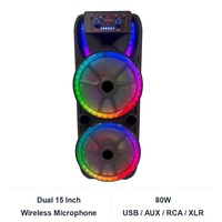 Enceinte de karaoké double 15 pouces 80W avec 1 microphone sans fil USB/AUX/RCA/XLR TF pour lumière RGB et télécommande en plastique YFY-21501