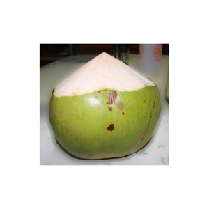 รับประทานอาหารที่สมดุลด้วยน้ำมะพร้าวสดที่อุดมไปด้วยสารอาหารเป็นตัวเลือกให้ความชุ่มชื้นที่อุดมสมบูรณ์และป้องกันอาการท้องผูก - Product Image 4