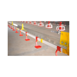 Équipement d'élevage de haute technologie livraison rapide nouvelle conception pour équipement d'élevage de volaille de poulet fabricant vietnamien - Product Image 1