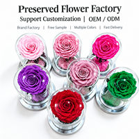 Vente en gros de roses éternelles préservées sous cloche en verre avec base miroir, cadeau élégant pour mariage, Noël, décoration intérieure