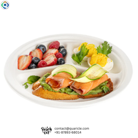 Assiette jetable biodégradable en bagasse de 9-10 pouces, 3 compartiments, haute qualité, pour service alimentaire, avec logo personnalisé, vente en gros