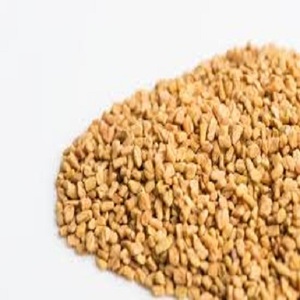 Extracto de Semilla de Fenogreco Natural de Alta Calidad, Marca MKJ, Origen Assam, 24 Meses de Duración, Ingredientes Alimenticios - Product Image 5