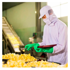 Ananas congelés directement du Vietnam Ananas congelé en dés jaune vif avec un goût sucré et une grande demande sur le marché d'exportation - Product Image 4