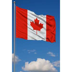 Drapeau extérieur du Canada 3x5 pieds imprimé numériquement en soie et plastique avec mât en aluminium pour voitures, assurance, éducation - Product Image 2