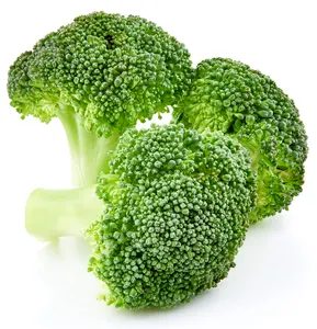 High Quality New Crop 2020 Fresh/Frozen Green Broccoli For Sales