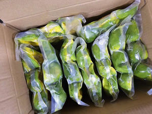 Aguacate congelado de grado de exportación y fruta verde tropical de alta calidad disponibles a granel con precio de fábrica para importadores - Product Image 3