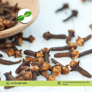 กานพลูอบแห้งทั้งหมด15ตันแบบอินโดนีเซีย - Product Image 4