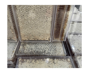 Vietnam Multiflower Honeycomb Pure Wild Bee Honeycomb Calidad Premium Mejor oferta de exportación Venta a granel Precios competitivos para la venta - Product Image 4