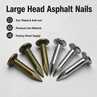 Hochfeste Dachnägel für Asphaltschindeln, Faserzementplatten, Dachpappe und Holzkonstruktionen - OEM-Lieferung