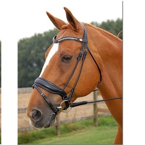 MEILLEURE bride de cheval de haute qualité avec bande de front en cristal pour chevaux NOUVEAU cheval noir bride en cuir fantaisie - Product Image 3