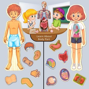 Vente en gros de puzzles 3D en bois gravés personnalisés Jouets éducatifs pour enfants et adultes Jeux d'apprentissage en bois OEM ODM - Product Image 6