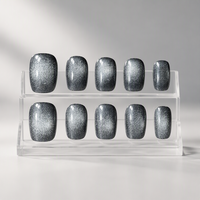 Faux ongles faits à la main, livraison rapide, prix de gros compétitif, designs variés, étiquette privée, emballage personnalisé, longue durée, durables