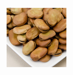High Quality Horse <b>Beans</b> Defatted Maker High Protein Feed Full-Fat Sale; for Food Dried and Fresh Styles Available - Product Image 1