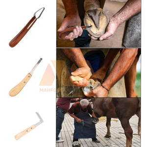 Kit d'outils de maréchal-ferrant complet, ensemble d'instruments de soin des sabots, durable et réutilisable, kit de maréchal-ferrant professionnel - Product Image 6