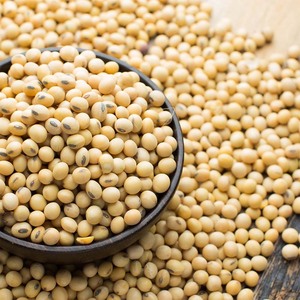 Factory Supply GMO Dried Bulk 10kg Soya Beans Whole <strong>Grains</strong> Healthy for Sale - Product Image 3