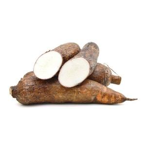 Fournisseur en gros de stock frais en vrac de légumes frais Cassava - Product Image 4