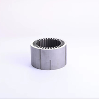 Haute performance EV voiture de sport Flux radial PMSM Core 0.15mm générateur léger d'enroulement d'épingle à cheveux avec rotor de stator optimisé