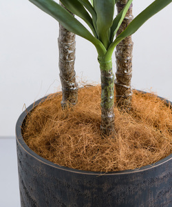 Wholesale Small Realistic Artificial Plants & Greenery for Outdoor Living Room & <b>Fence</b> Decoration - Product Image 4