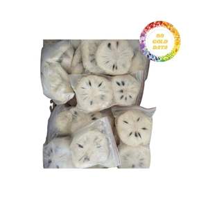 Deliciosa pasta de Guanábana congelada producida en Vietnam adecuada para cadenas de batidos y fabricantes de postres al mejor precio - Product Image 2