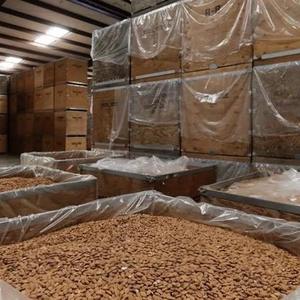 Premium California <b>Cheap</b> affordable Wholesale Usa Raw Dry Fruits Almond Nuts <b>in</b> <b>Bulk</b> California Almonds - Product Image 4