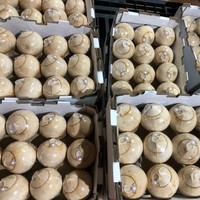 Coco Pulido Abierto de Vietnam |   Apariencia de Carcasa Blanca y Limpia |   Servicio Fácil para Cafeterías y Bares de Smoothies |   Marca TINIMEX |   25 Días
